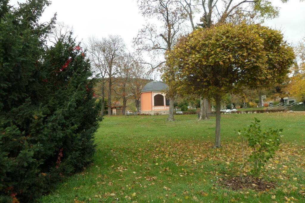 Am Kurpark Bad Frankenhausen